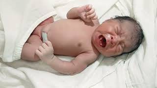 Most welcome, newborn chubby baby immediately after birth with first strong cry #viral #video #baby