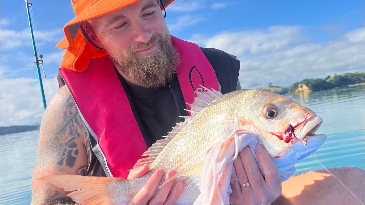 BIG Snapper in the Harbour ?!? 🧐😁 🎣🛶 - YouTube