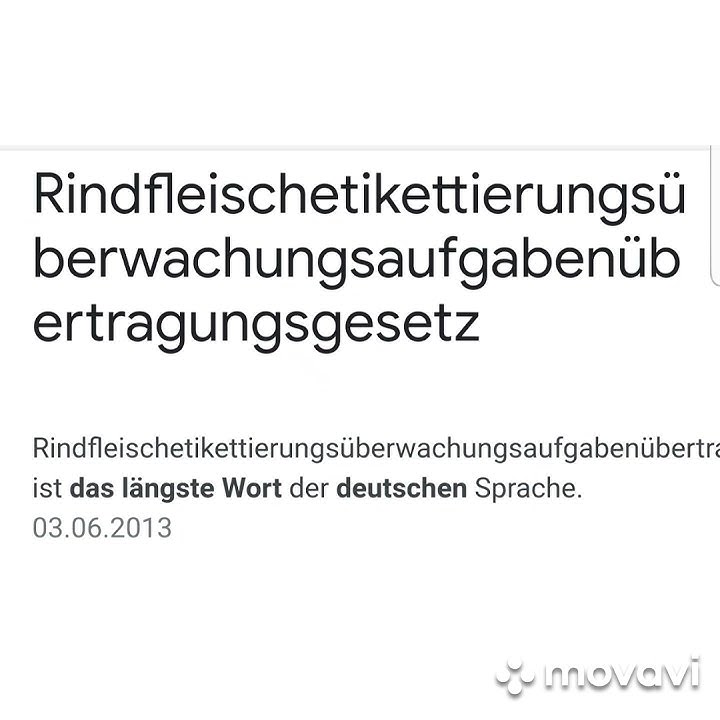 Das längste Deutsche Wort (63 Buchstaben) der Welt YouTube