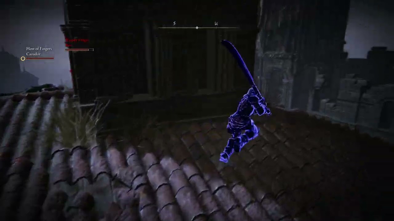 Elden Ring Blue Hunter VS Bloody Finger Bee 