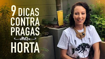 O que é bom para evitar insetos nas plantas?