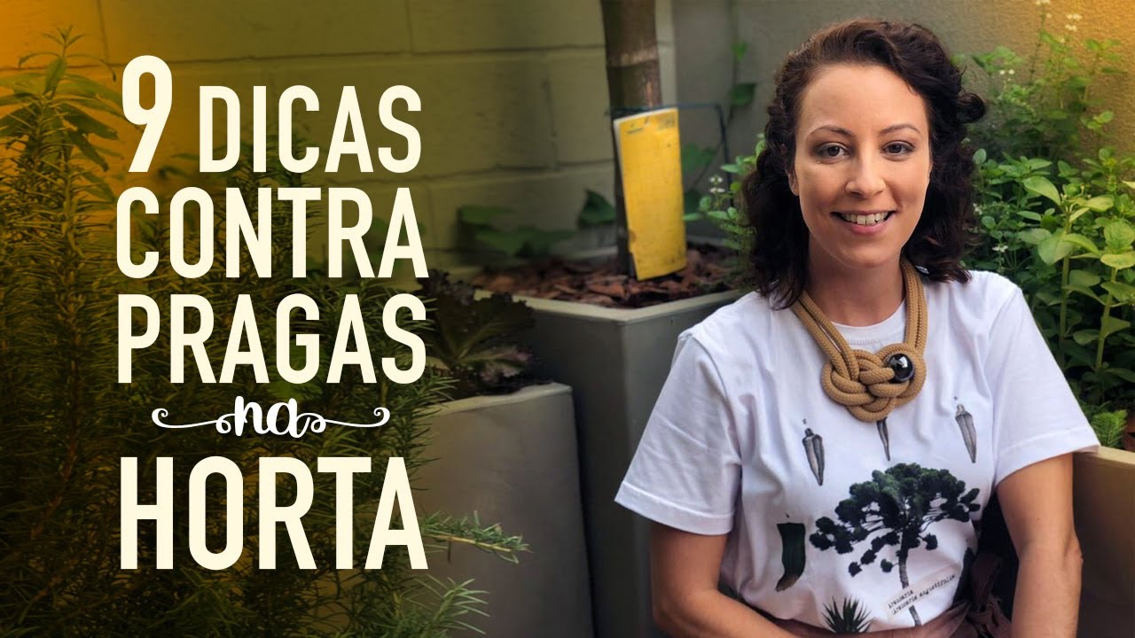 9 Dicas contra PRAGAS na HORTA 9 Dicas contra PRAGAS na HORTA