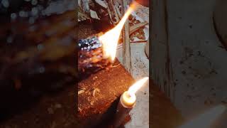 GAHARU: Lempeng Terbaik Kelas Terbaik Dari Gaharu Budidaya. #agarwood #gaharu #fup#fup#fypシ#fypshot