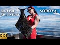 BIG FISH ADVENTURE 2020 - SØRØYA, Hasvik (4K) May Liza Johansen, Kato Andre Bøe