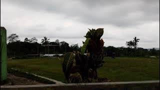Suasana dan kesejukan Didesa Wonosobo dipagi Hari.