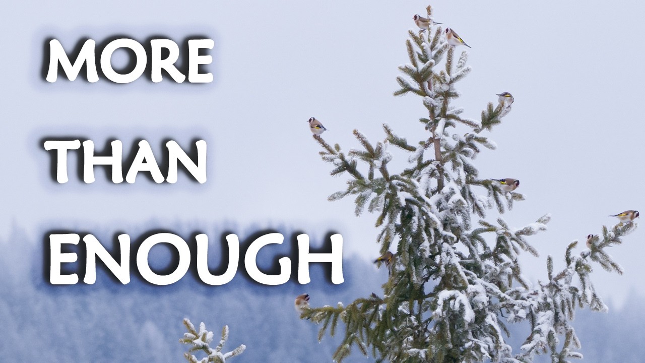 A Different Kind of Perfect