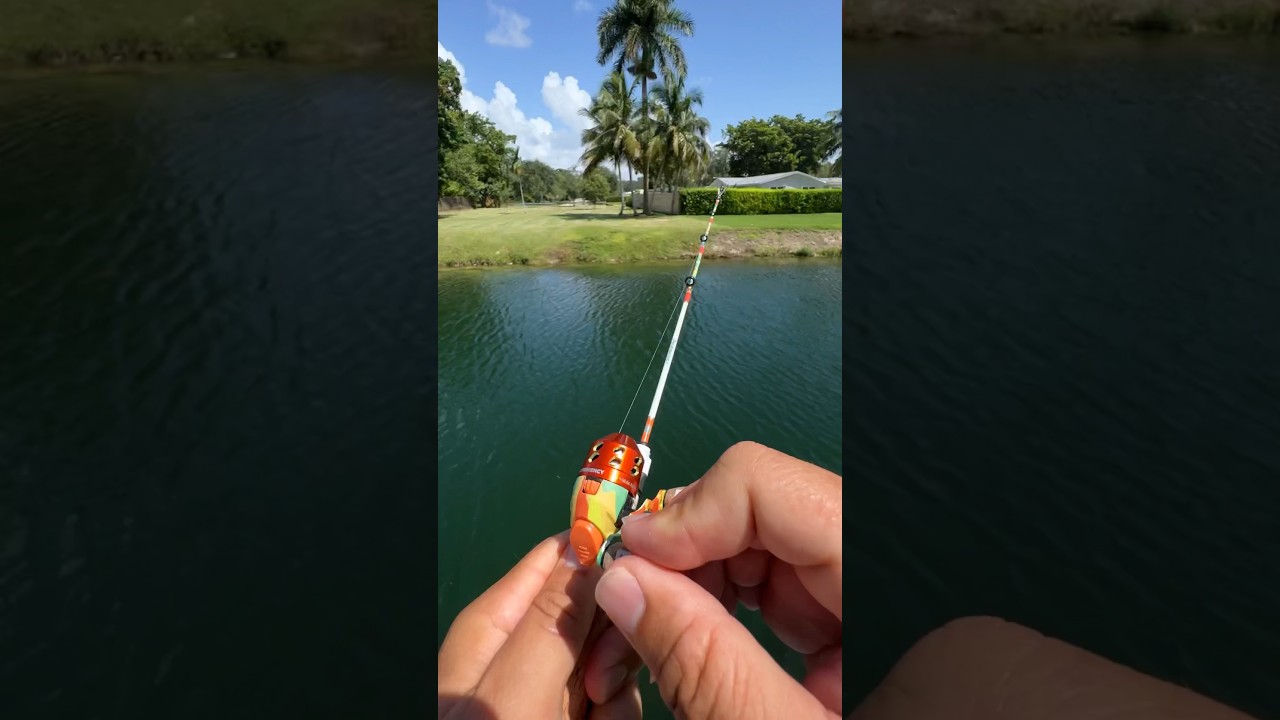 Boy catches fish in record time
