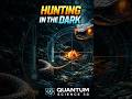 hunting in the dark #facts #neurocom #science #neurofeedback #snake#snakemountain #viralreelsシ #saap