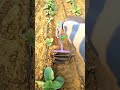 Jayantilal.M.Panchal |8758069698,9925277130|#powerweeder #nanotractor #powertriller #agriculture