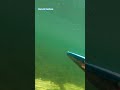 pesca sub #amém #mensagemdefé #jesusteama #oraçãodanoite #amen #jesuslovesyou #fe #pesca #4k