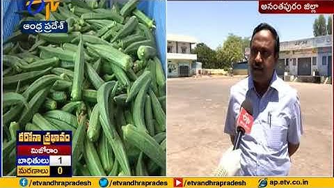 An Interview with Horticulture Assistant Director Satish | On Farmers Problems | Anantapuram