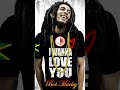 Bob Marley I wanna love you Half hour loop