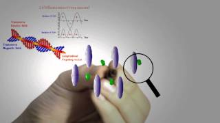 Microwave Ovens - How Do They Work?