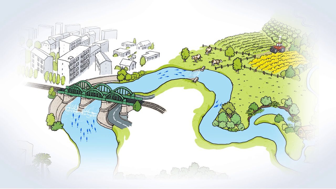 Recuperemos la continuidad de nuestros ríos - YouTube