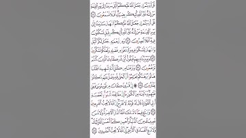 صفحة ٣٩٤ سورة القصص الشيخ ياسر الدوسري