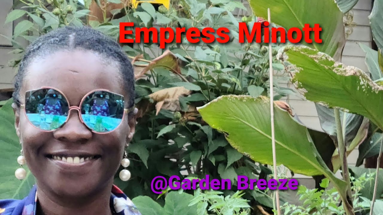 Empress Minott | Reggae Music Jamaican Canadian Grooving #shorts #igloproducts #shortsfired #vlog