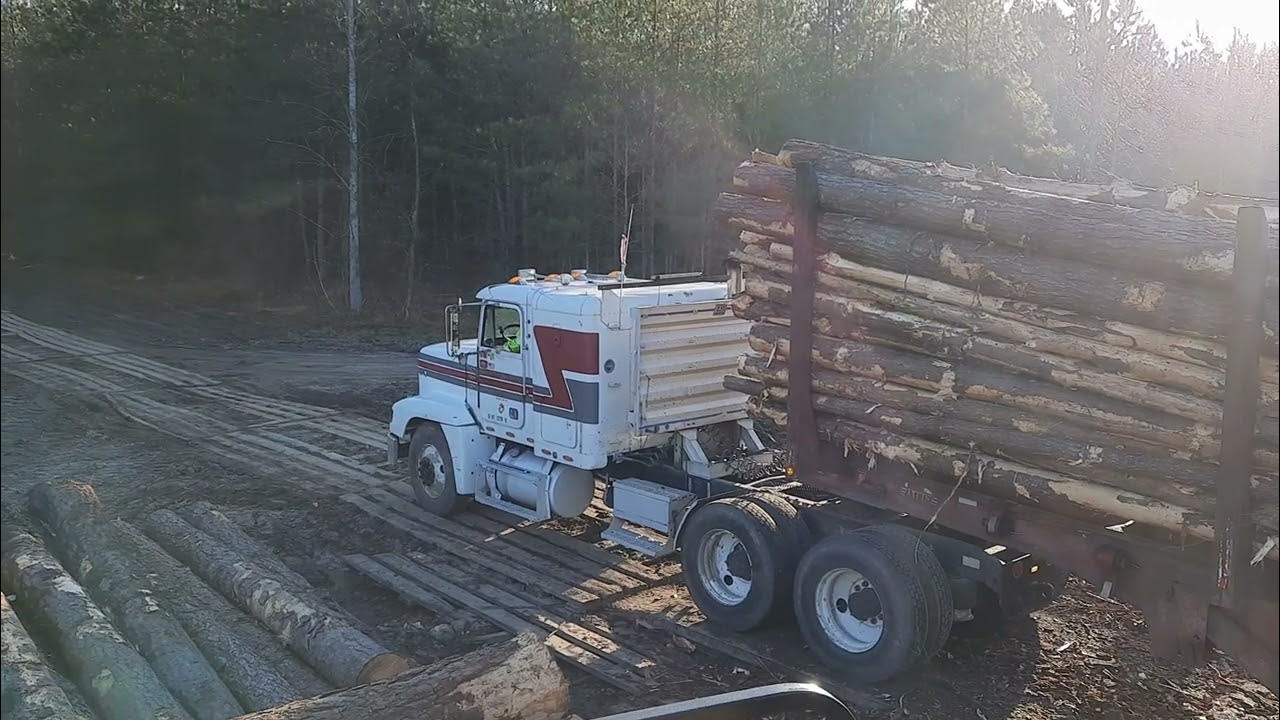 North Carolina logging good Friday YouTube