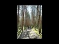 Abacist - Woodland Dress