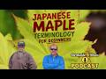 Japanese Maple Terminology For Beginners | MrMaple Show Podcast