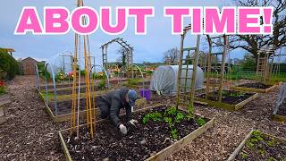 FIRST Big Plant Out for Summer 2026 Harvest