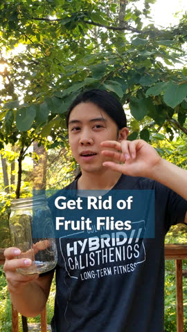 You CAN get rid of fruit flies, my friend!