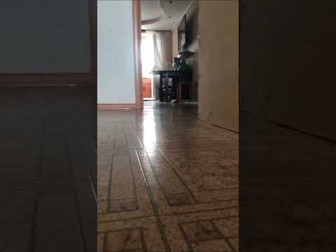 Кого и как назвать на букву «Д»