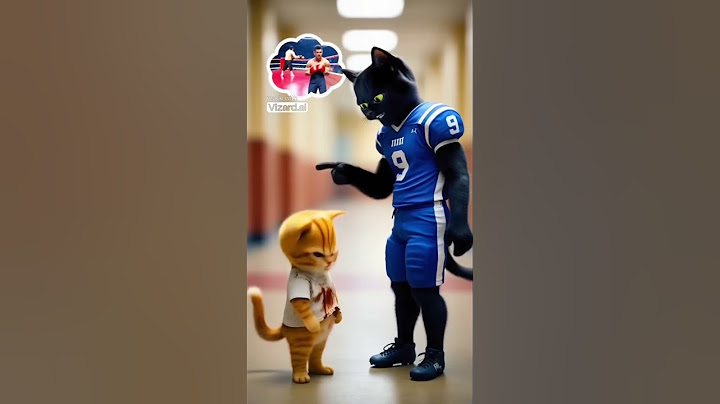 The Story of the Yellow Kitten  From Victim to Champion!   #school #motivation #cat #respect