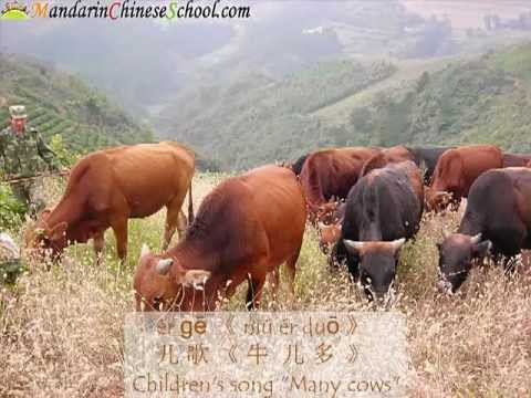 Serie de animales en chino - Vaca  (Hoja de practicas descargable gratis para imprimir)