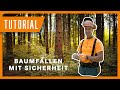 Fällung eines Baumes mit der Sicherheitsfälltechnik | Tutorial der Bayerischen Staatsforsten