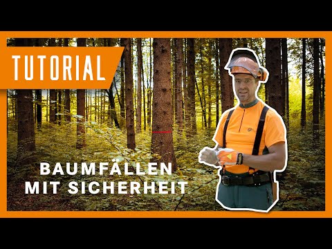 Rückhänger: Baum fällen mit Keilen I Tutorial der Bayerischen Staatsforsten