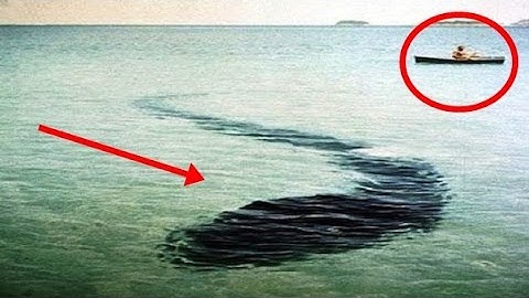 5 Mysterious Photos That Cannot Be Explained