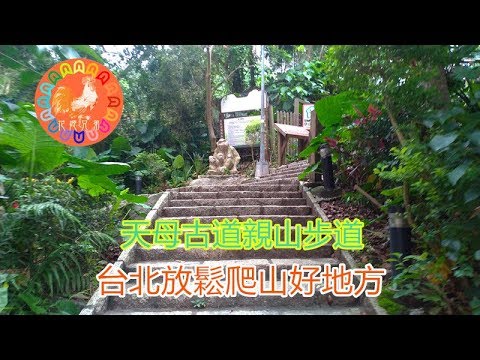 【台北旅遊】天母古道親山步道 空氣好 不再人擠人 台北登山放鬆好地方