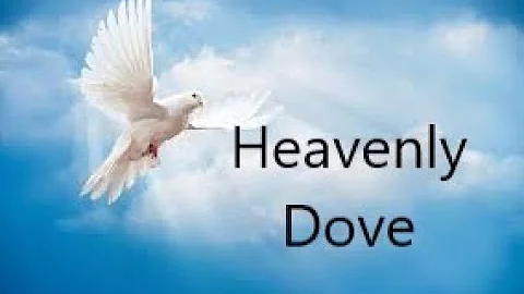 Heavenly Dove | Rev. Curtis Phillips | 12042022 | ...