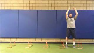 Hurdle Jump - Rotational - Snap Down + Pause - Single Response