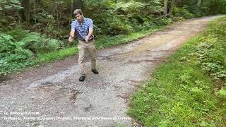 Sugarbush Management - Water bars