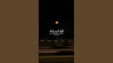 وَأُفَوِّضُ أَمْرِي إِلَى اللَّهِ ۚ|سورة غافر|القارئ خالد الجليل😴❤️.