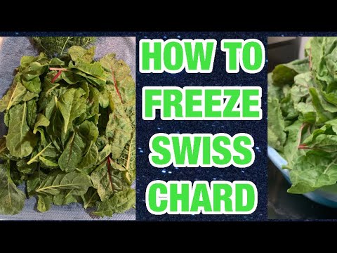 How To Freeze Swiss Chard