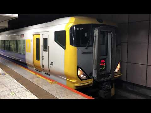 E257系500番台マリNB-19編成+マリNB-02編成東京発車