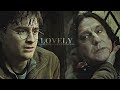 Harry & Severus || Lovely