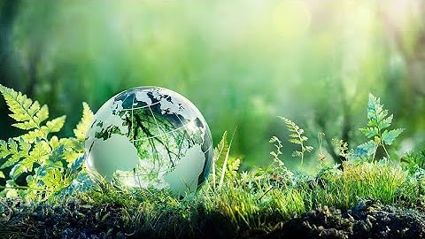 Sustainability Webinar: Shaping A Greener Future with 6Connex | Virtual & Hybrid Event Platform