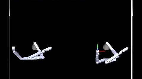 Singularity Avoidance with Actin