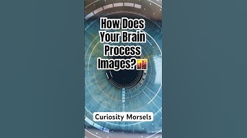 How Does Your Brain Process Images?💭#howdoesitwork #sciencefacts #brain #brainimaging