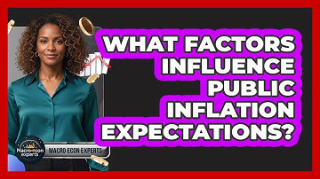 What Factors Influence Public Inflation Expectations?