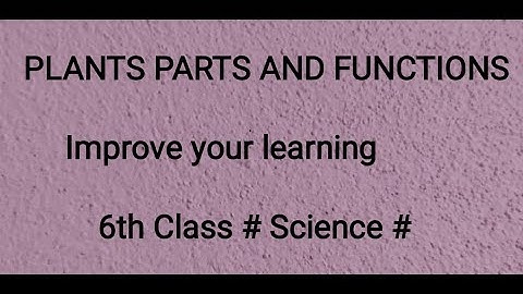 Plants parts and functions # Q&A# 9th lesson #6th class science @ScienceInnovators