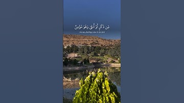 #سورة_النحل #خالد_الجليل #قرآن #المصحف #لايك #اكسبلور