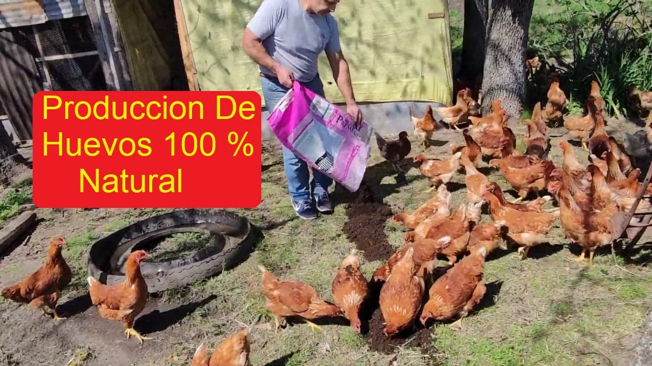 RECORRIDA POR LA FINCA