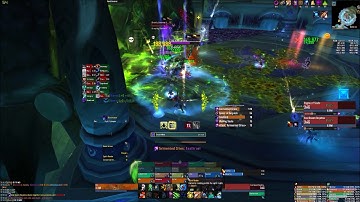 Arbiter Mythic Desolate Host Resto Druid POV