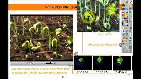 ActivTips Instructional Strategies - 6. Non-linguistic representations