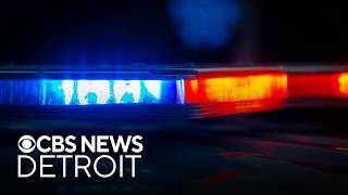 Mystery man confronts homeowner in Livonia, police say