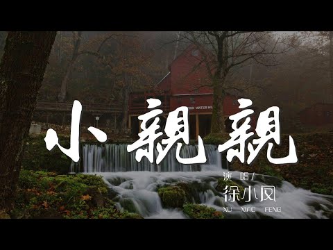 小親親 - 徐小鳳『你呀你你是我的小親親』【動態歌詞Lyrics】